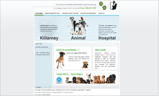 Killarney Animal Hospital web site development