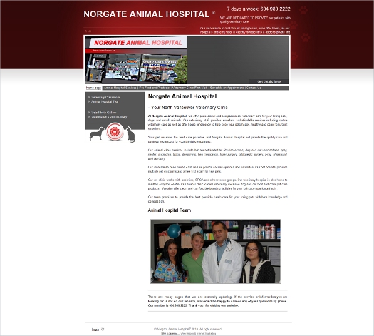 Norgate Animal Hospital web site development